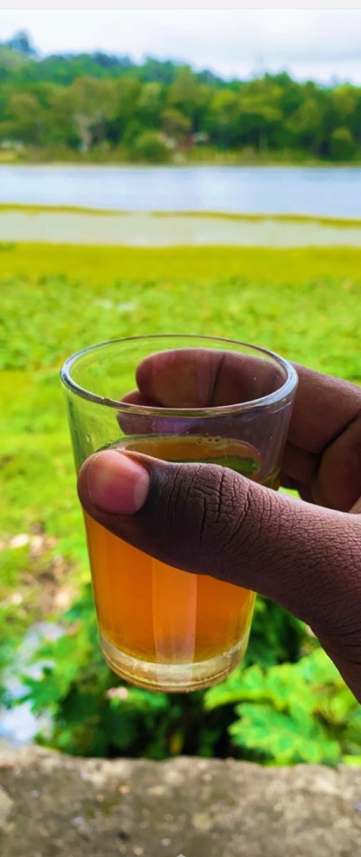 Genmaicha Ryżowa